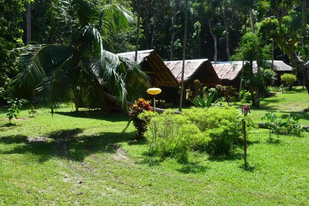 Paradise Lost Bungalows เกาะกระดาน ภายนอก รูปภาพ