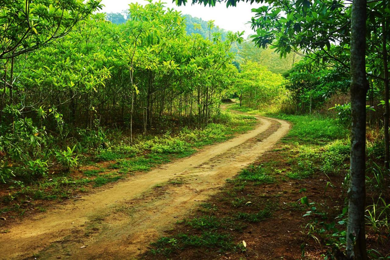 Paradise Lost Bungalows เกาะกระดาน ภายนอก รูปภาพ